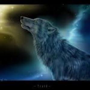 Meet your Posher, Omnicron